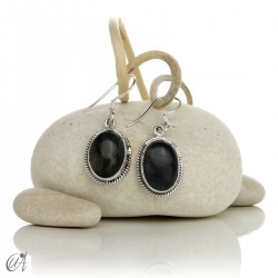 Arjuna stone and sterling silver earrings - Hawk's eye