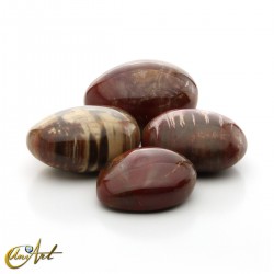 Xylopal, fossil wood - 500 grams of large tumbled stones