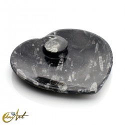 Platos con ammonites y orthoceras - Corazón