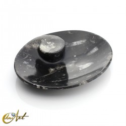 Platos con ammonites y orthoceras - Ovalado