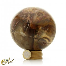 Esfera de Xilópalo, madera fósil - 10,5 cm