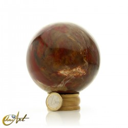 Esfera de Xilópalo, madera fósil - 8 cm
