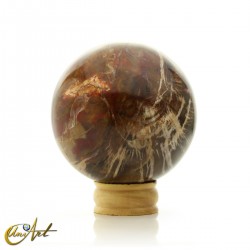 Esfera de Xilópalo, madera fósil - 8 cm