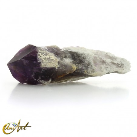 Dragon's Tooth - Rough Amethyst Point