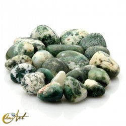 Tree agate tumbled stones in packet of 200 grs