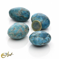 Polished Apatite Stones in Galet Format - 300 grams