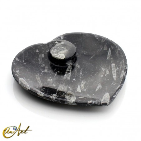 Platos con ammonites y orthoceras modelo corazón