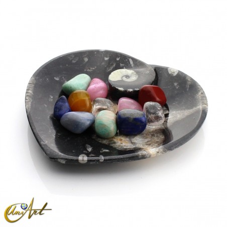 Plates with ammonites and orthoceras heart model