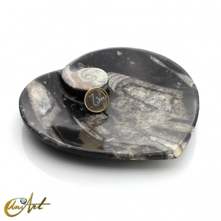Platos con ammonites y orthoceras modelo corazón