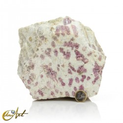 Bicolour pink tourmaline in matrix with mica