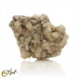 Fan-shaped stilbite with celadonite