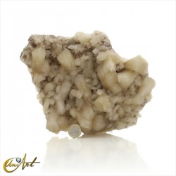 Fan-shaped stilbite with celadonite